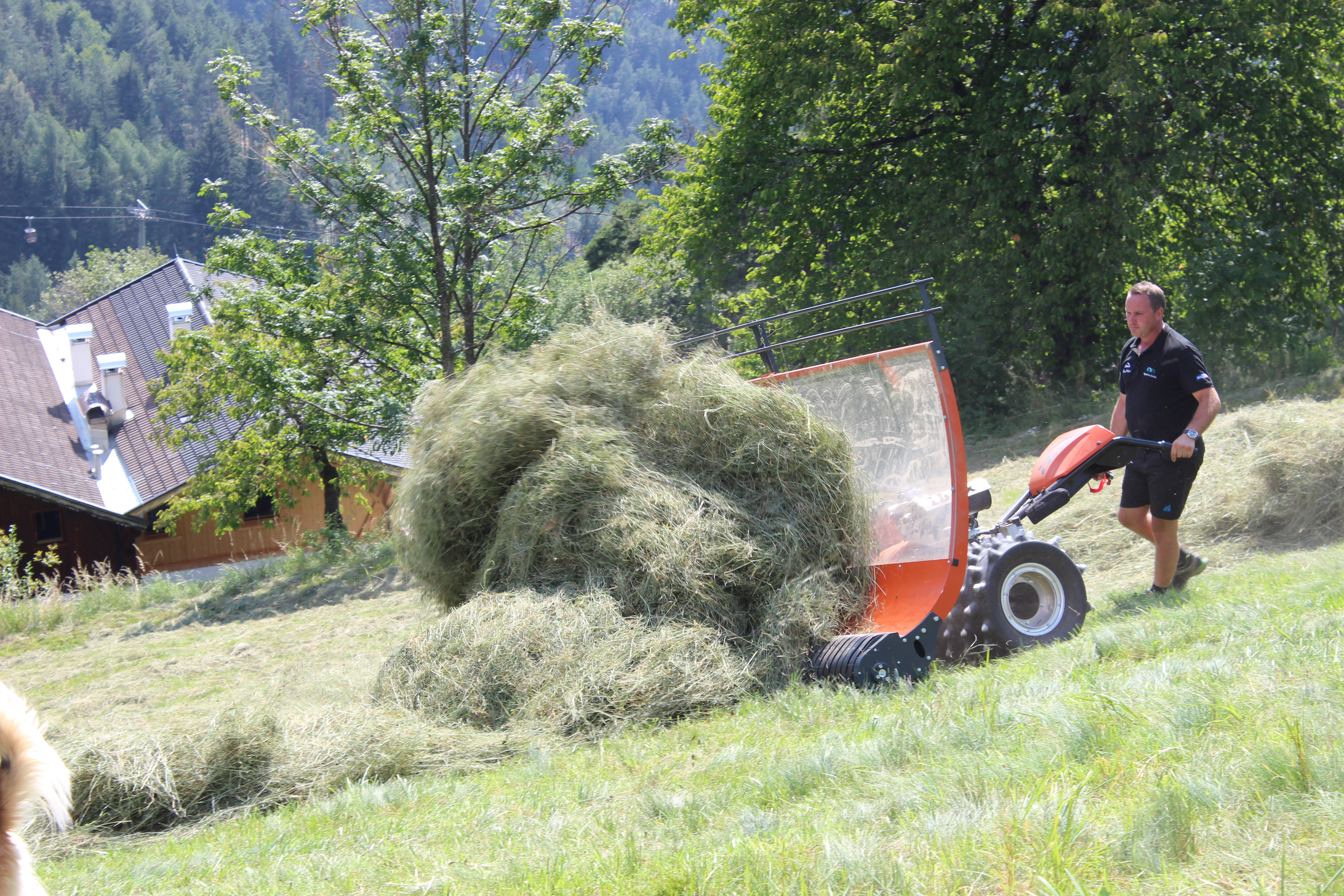 Ibex G2P mit Mulcher